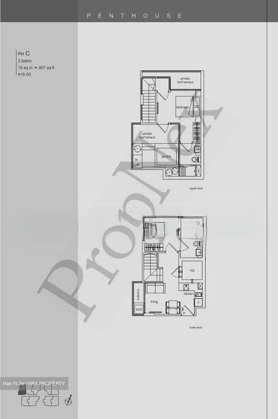 Haig 162 (D15), Apartment #517516341